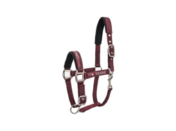 Cabresto para cavalos Equiline Timmy