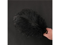 Penas de Avestruz Nova Line 30-35cm Preto 20pcs para Decoração de Casamento e Festas S/MARCA