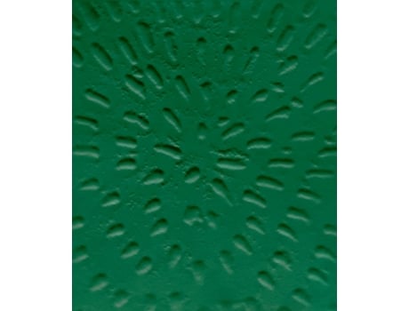 Livro jennifer guidi de stuart krimko (inglês)