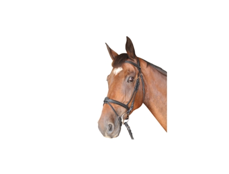 Cabeçadas combinadas PRIVILÈGE EQUITATION Cabourg