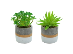 2 Peças de Mini Suculentas Simuladas em Vaso Ornamentos Criativos de Moda Plantas Artificiais NEVEANCE