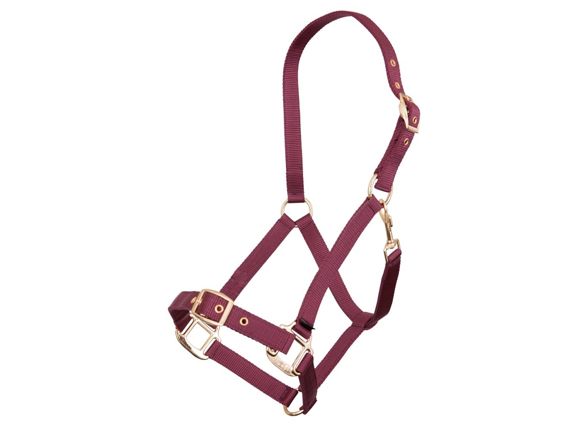 Cabresto de Polipropileno PREMIERE Equitation