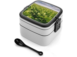 Marmita Japonesa Soja Field Bento Box Com Dupla Camada, Ideal Para Mulheres E Homens, Perfeita Para Atividades Ao Ar