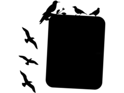 Adesivos Decorativos Para Parede, Sala De Estar E Outros Ambientes.