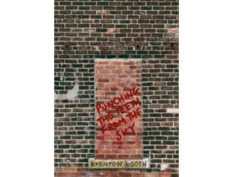 Livro Punching The Teeth From The Sky de Brenton Booth (Inglês)