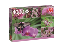 Puzzle JUMBO Orchids (1000 Peças)