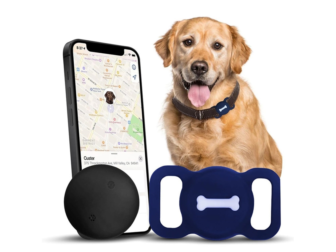 Rastreador CZHHMART para Animais de Estimação com Função Encontrar Azul
