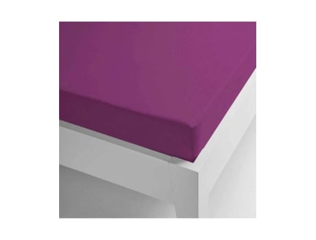 Len?ol de Baixo MIRACLE HOME (150 cm - Algod?o - Bege)