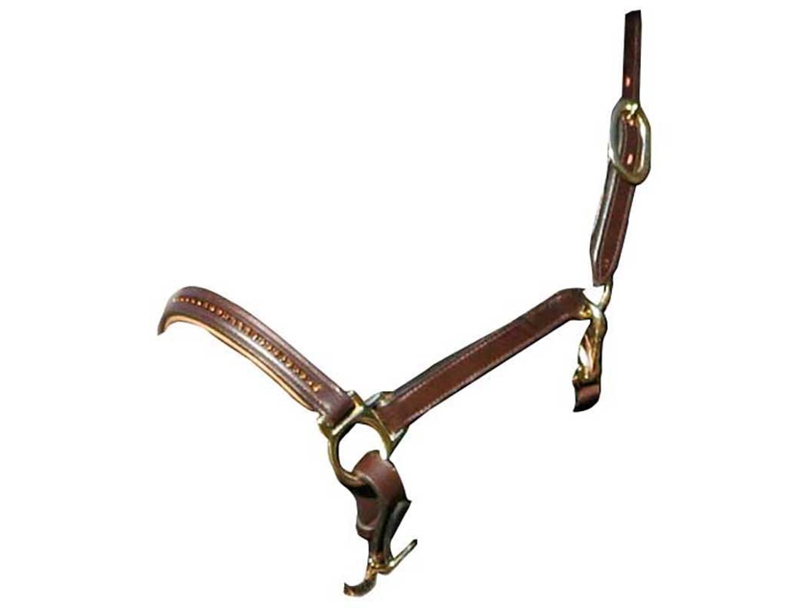 Cabeçada Leather Diamond Dourado Cobstar