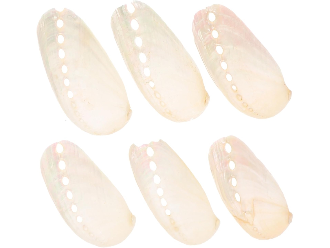 Conjunto 6 Conchas Abalone Peroladas Naturais 4 Decoração Casamentos Estilo Praiano Aquários Cm Cor Bege GOKOCO