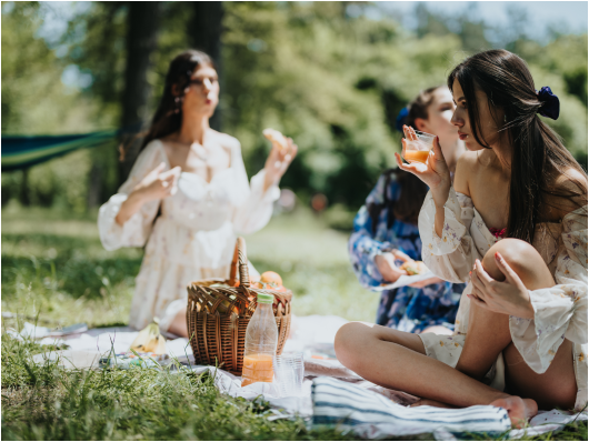 como preparar picnic 