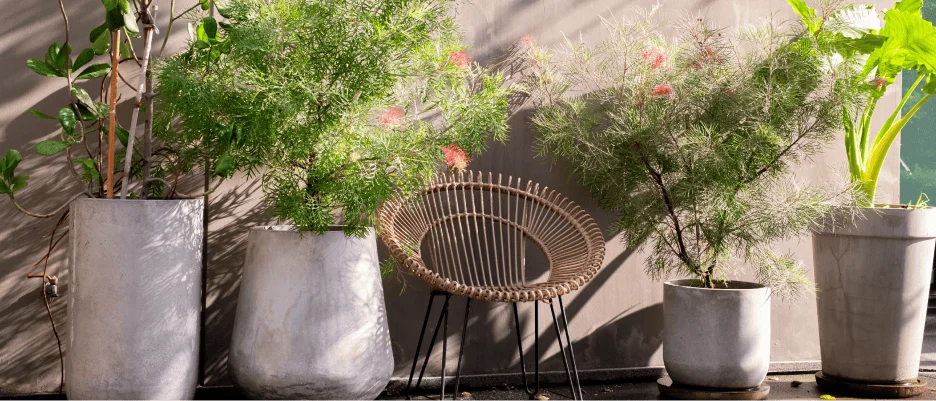Aproveita até 60% desconto direto + 15% com cupão "JARDIM15"